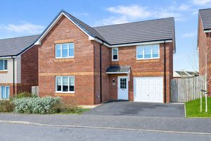 Photo 24- click for photo gallery